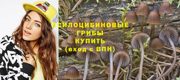СК Осташков