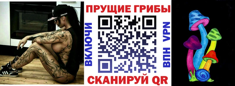 маркетплейс наркотические препараты  Адыгейск  Галлюциногенные грибы GOLDEN TEACHER 